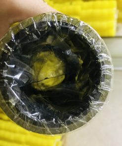 Long-den-phot-chan-dau-D60